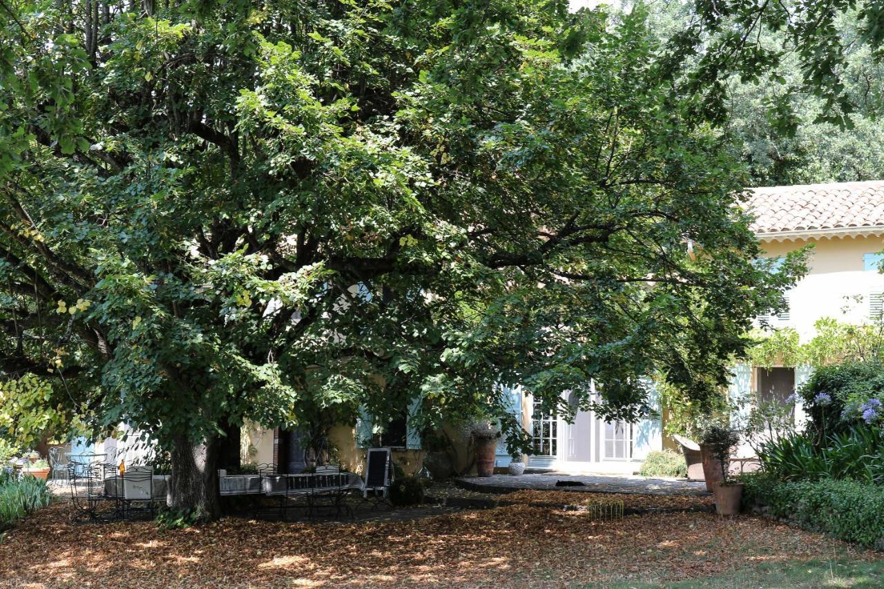 Domaine Des Tilleuls D'Or Saint-Cézaire-sur-Siagne Exteriör bild