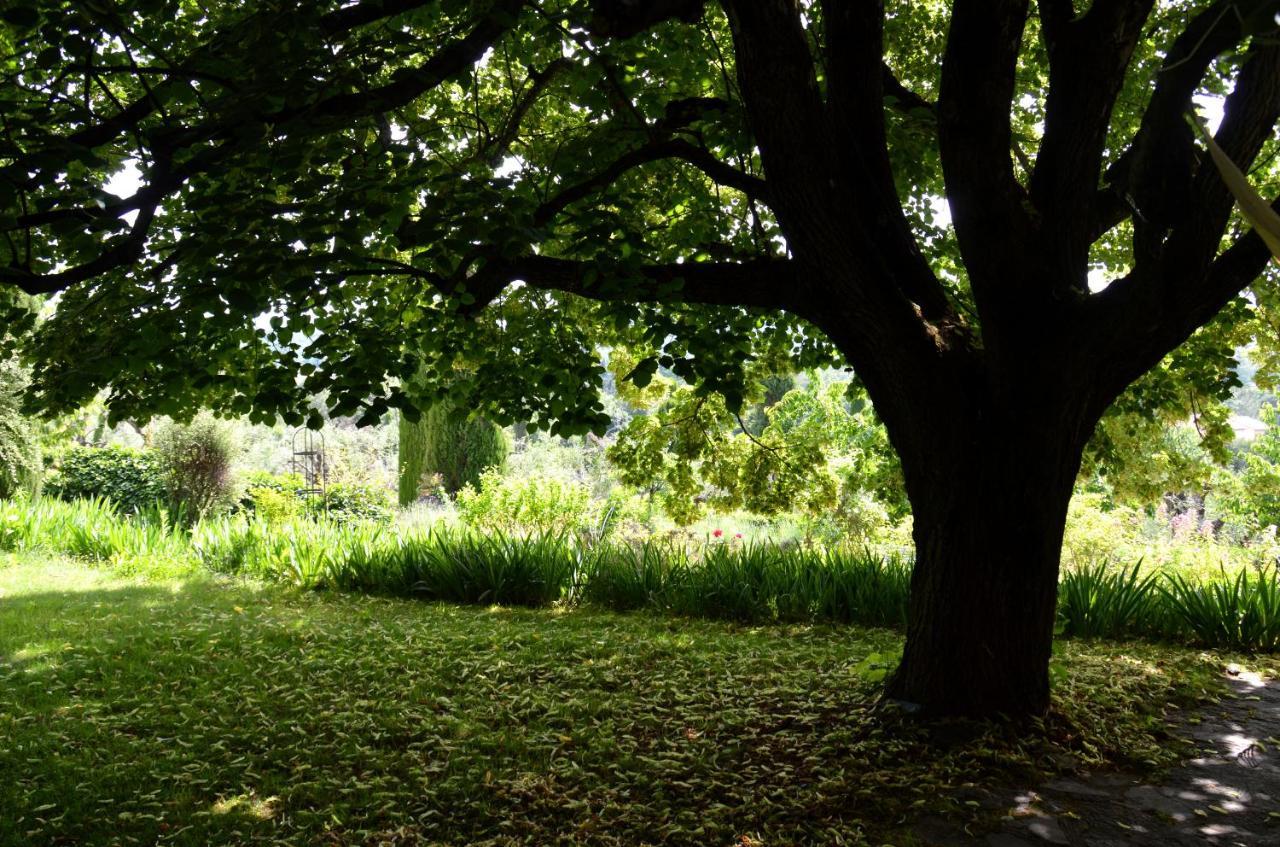 Domaine Des Tilleuls D'Or Saint-Cézaire-sur-Siagne Exteriör bild