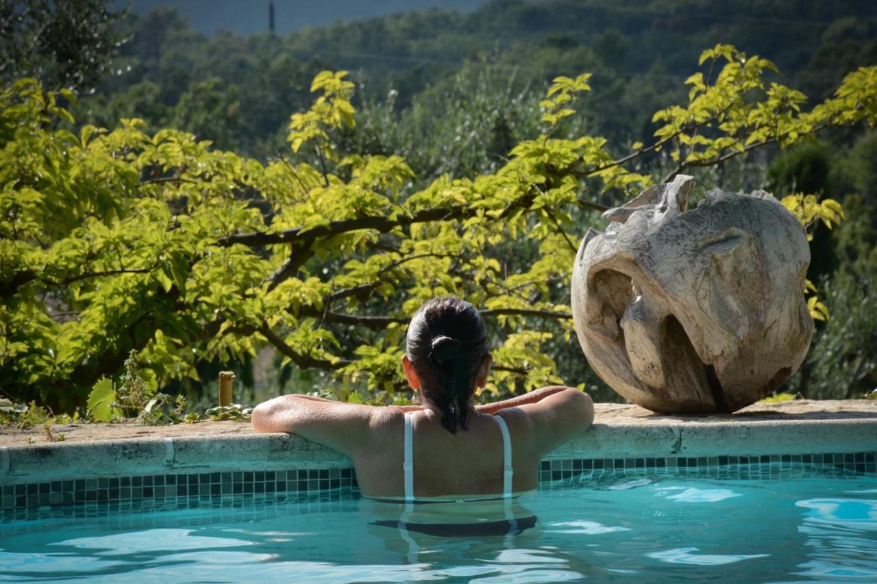 Domaine Des Tilleuls D'Or Saint-Cézaire-sur-Siagne Exteriör bild