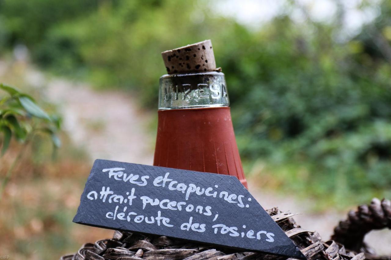 Domaine Des Tilleuls D'Or Saint-Cézaire-sur-Siagne Exteriör bild