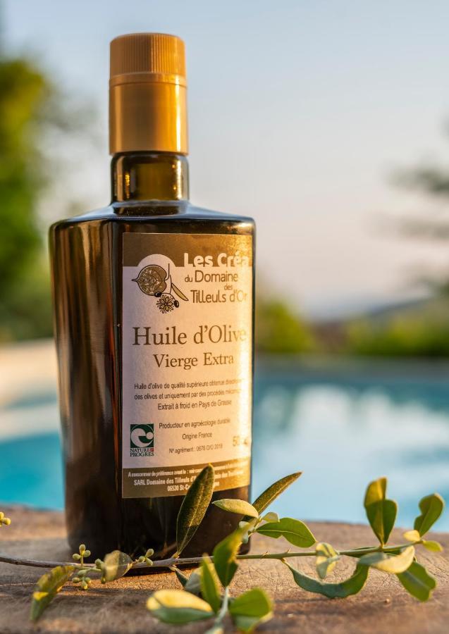 Domaine Des Tilleuls D'Or Saint-Cézaire-sur-Siagne Exteriör bild