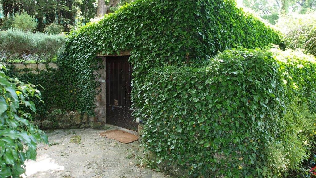 Domaine Des Tilleuls D'Or Saint-Cézaire-sur-Siagne Exteriör bild